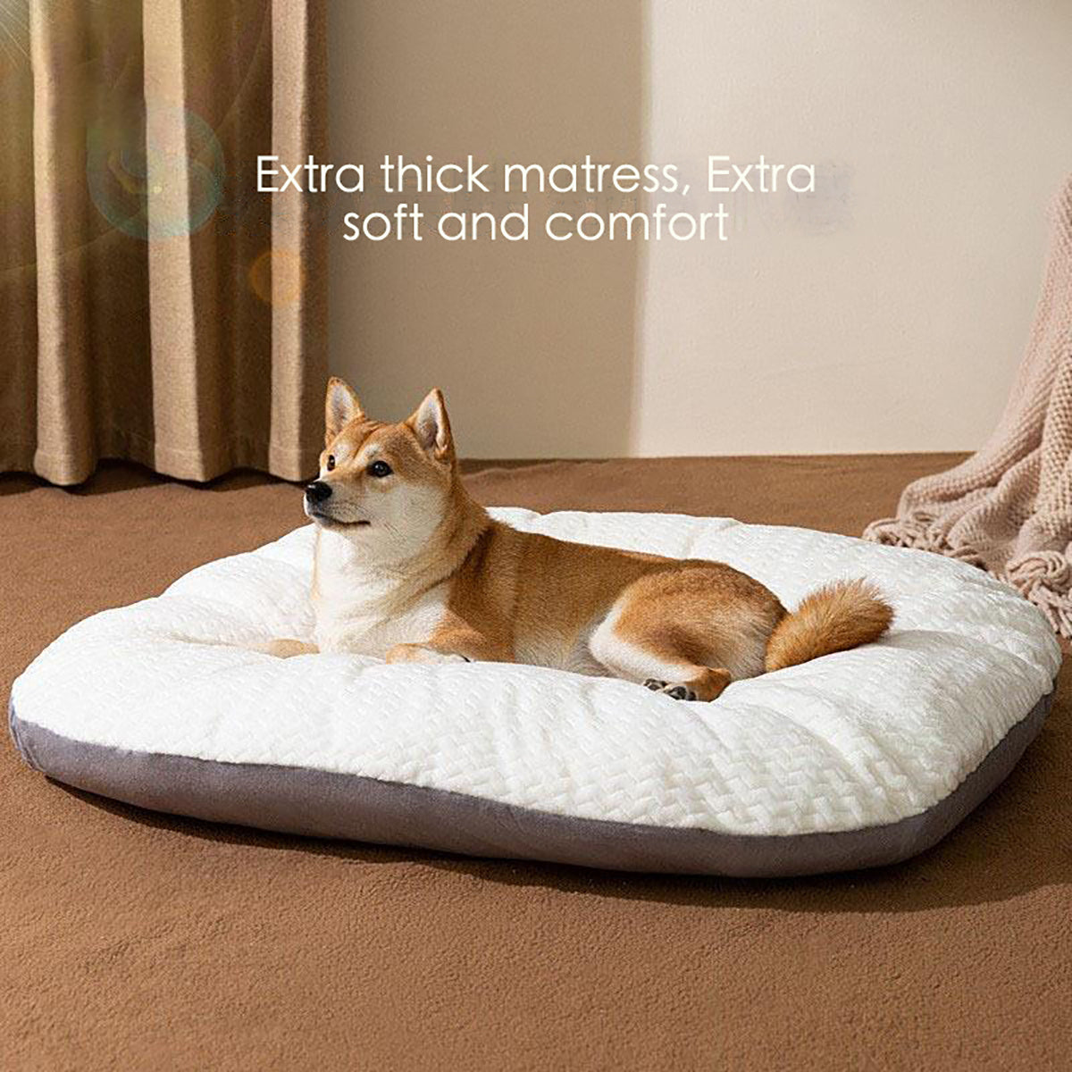 Oval Comfort Dog Bed – Washable & Crate-Friendly