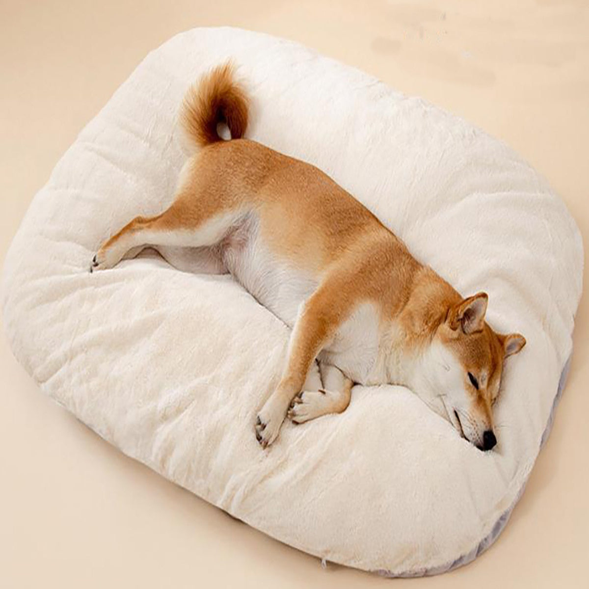 Oval Comfort Dog Bed – Washable & Crate-Friendly